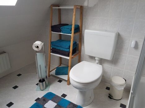 Toilette und Handtuchregal