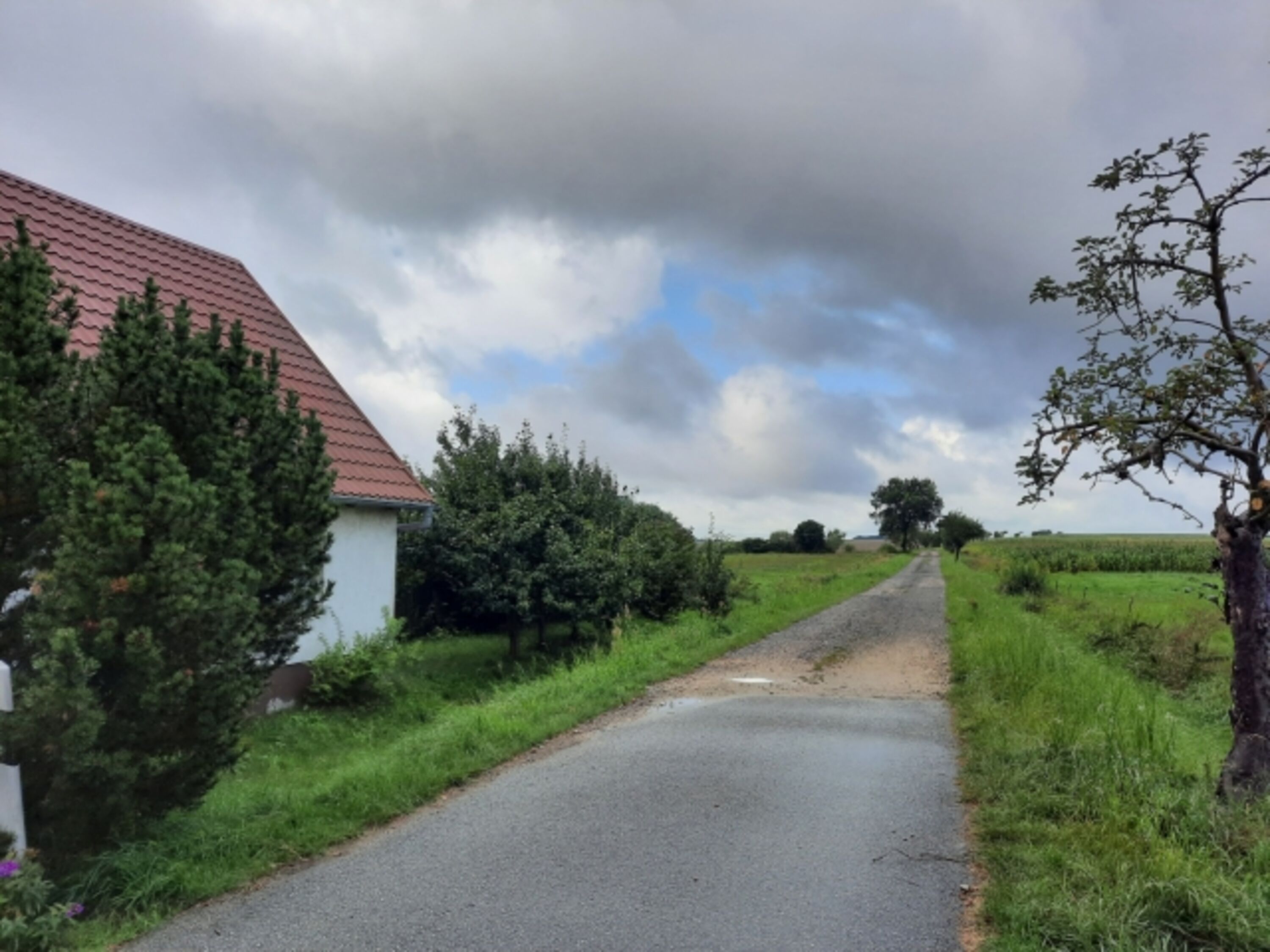 Hofeweg zum Spazierengehen oder Gassilaufen mit Hund