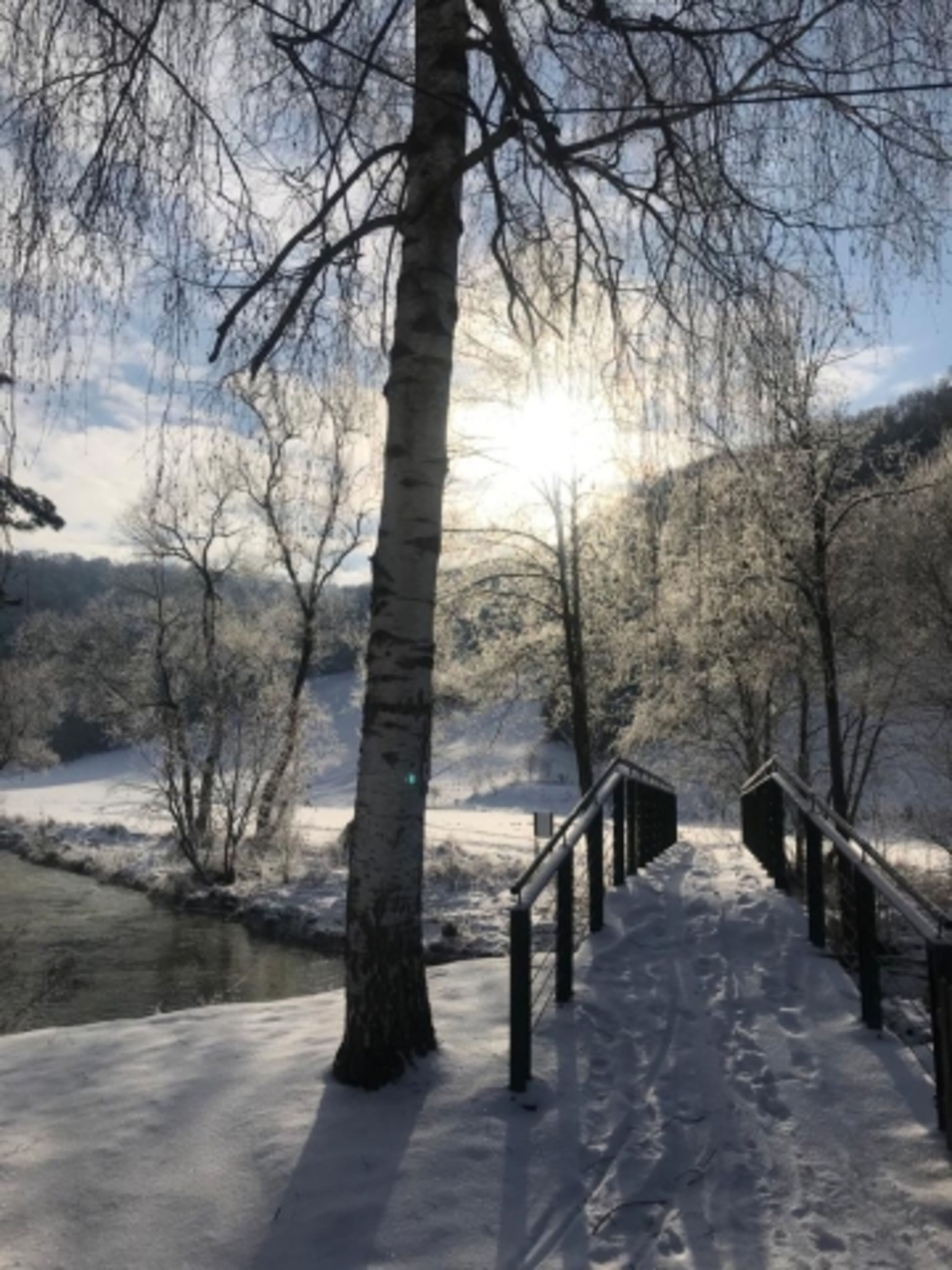 Bild 19
