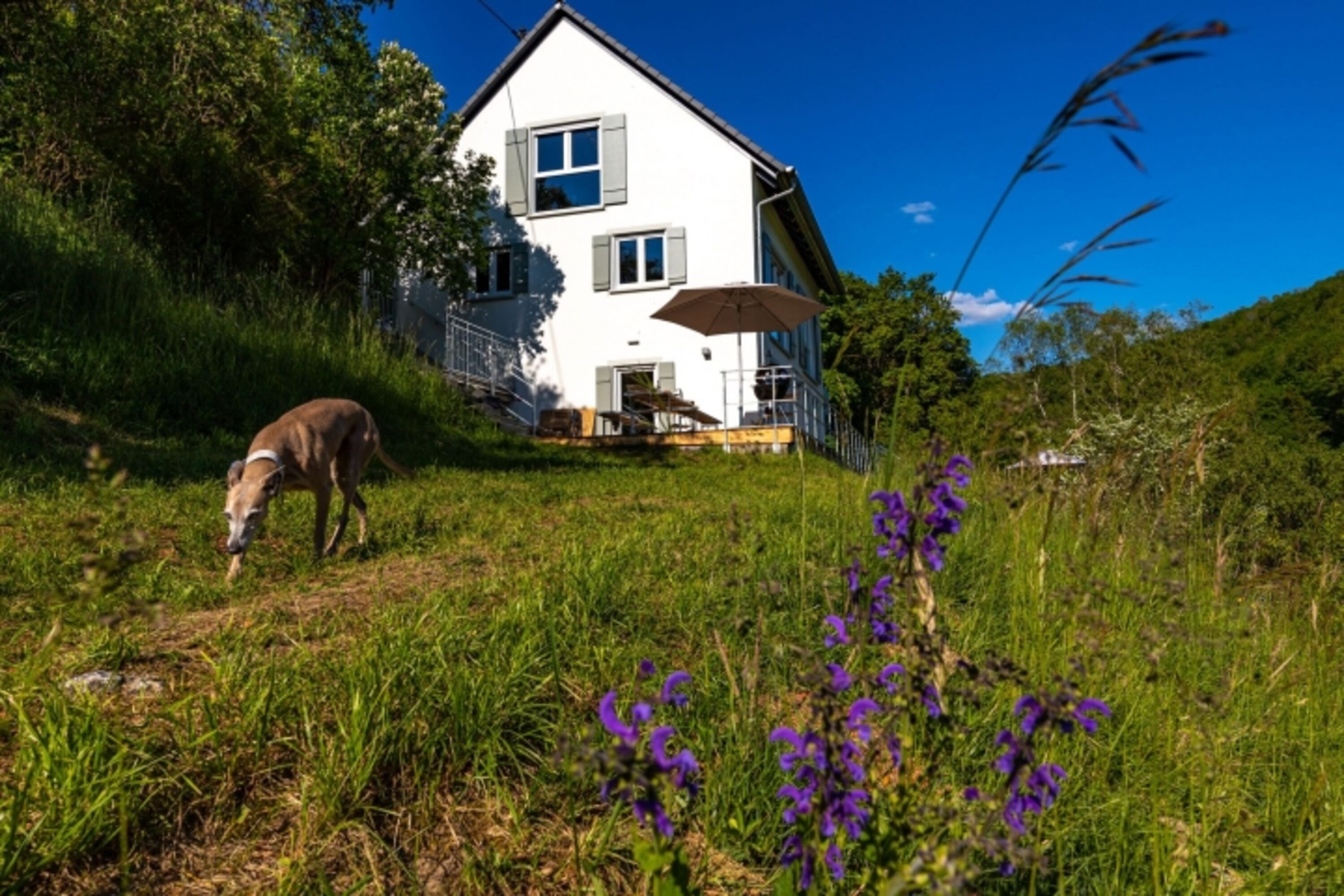 Wunderschönes Ferienhaus in Abseitslage