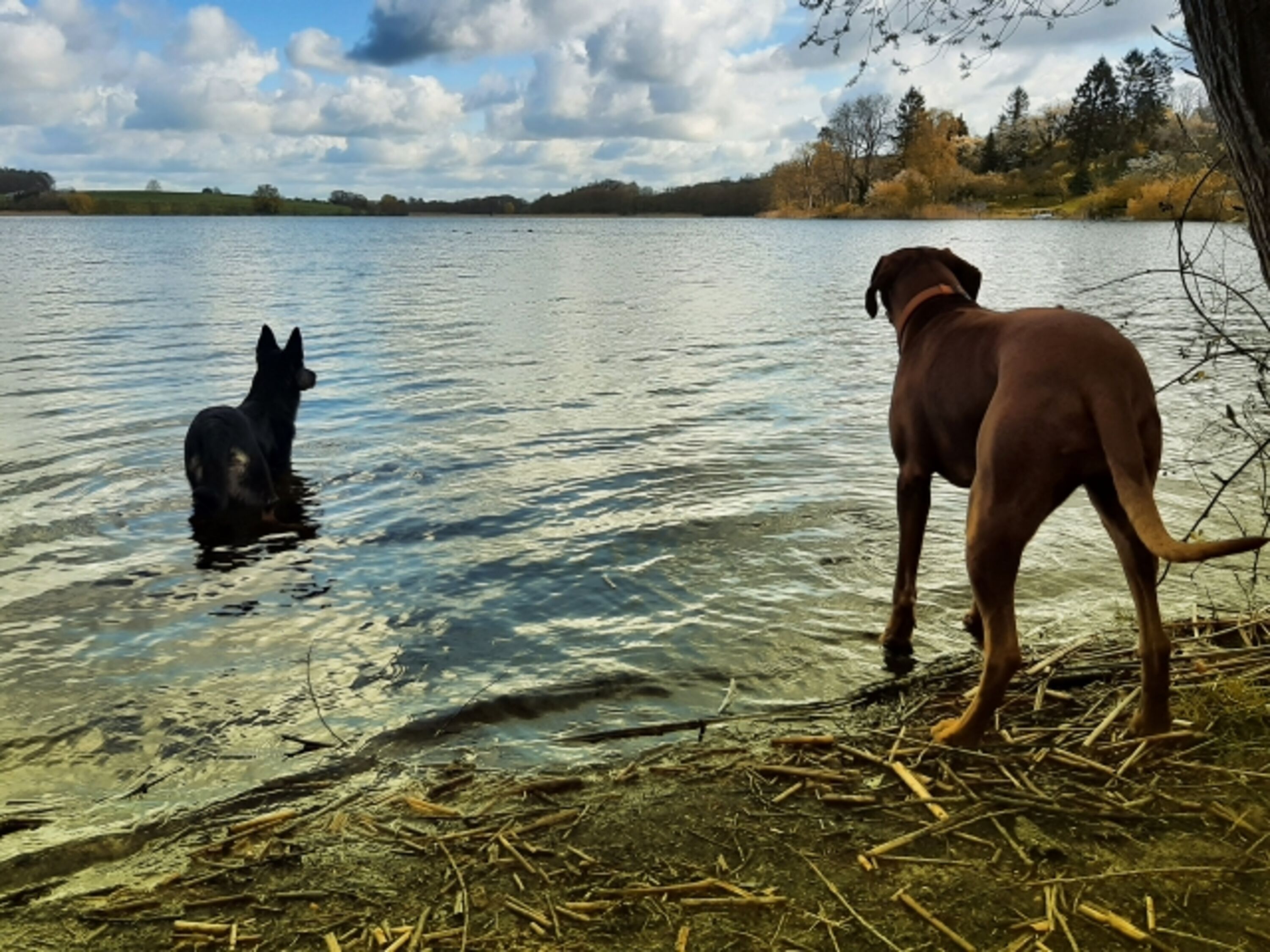 abkühlen im Binnensee