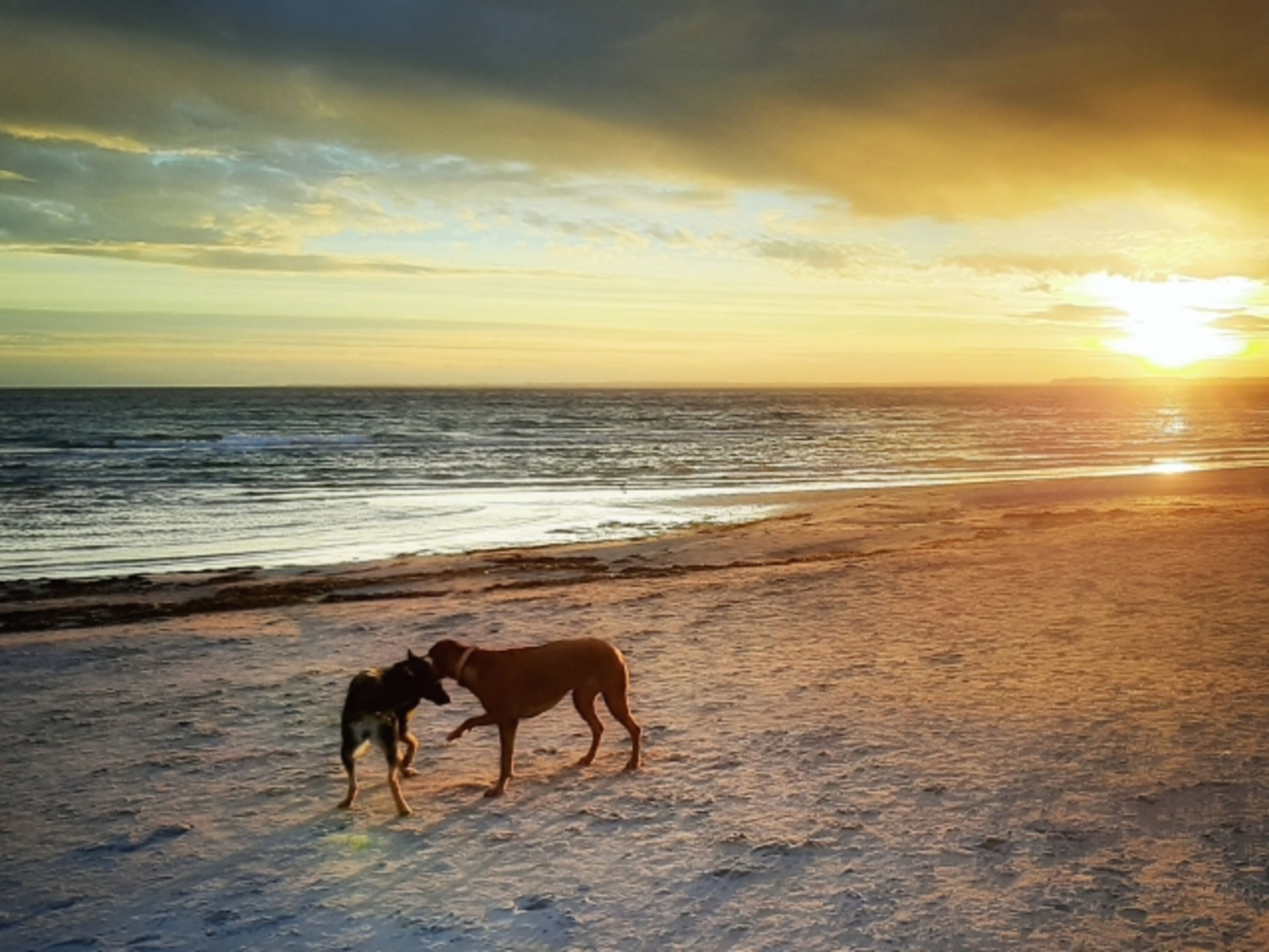 abends am Strand