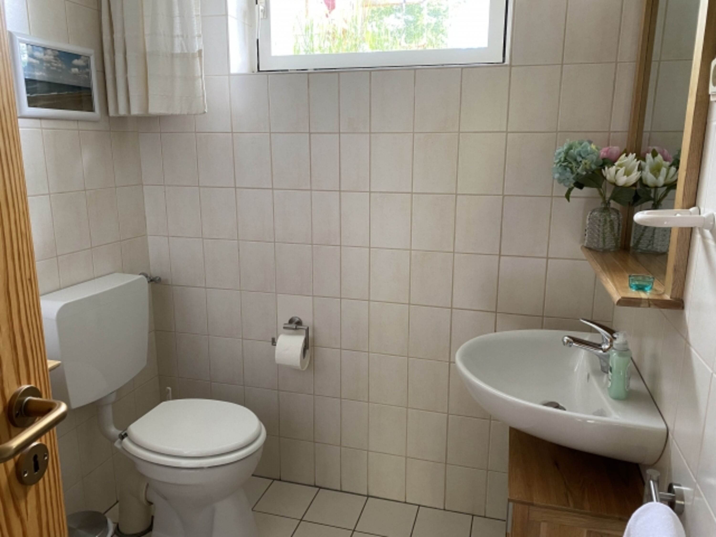 Bild 15