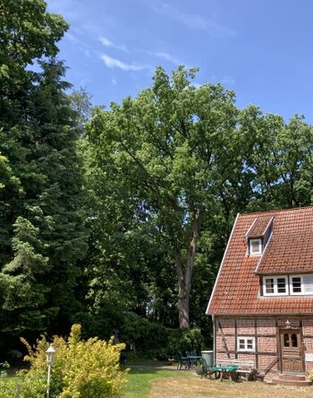 Ferienhaus Dielenwohnung 