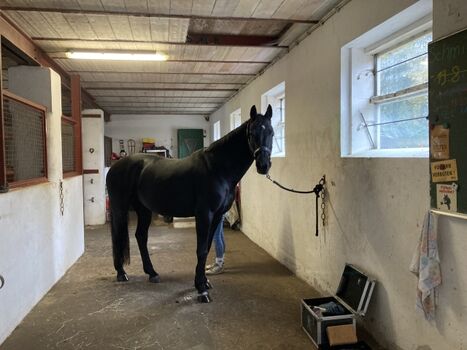 Putzplatz im Pferdestall