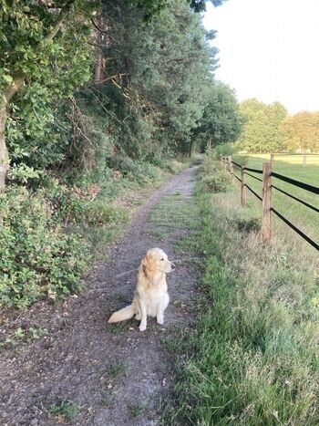 Schöne Wanderwege direkt ab dem Hofgelände