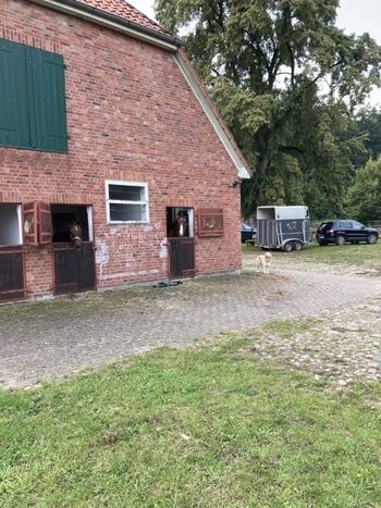 Pferdestall und Aussenboxen