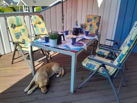 Auch Ihr Hund ist bei uns herzlich Willkommen