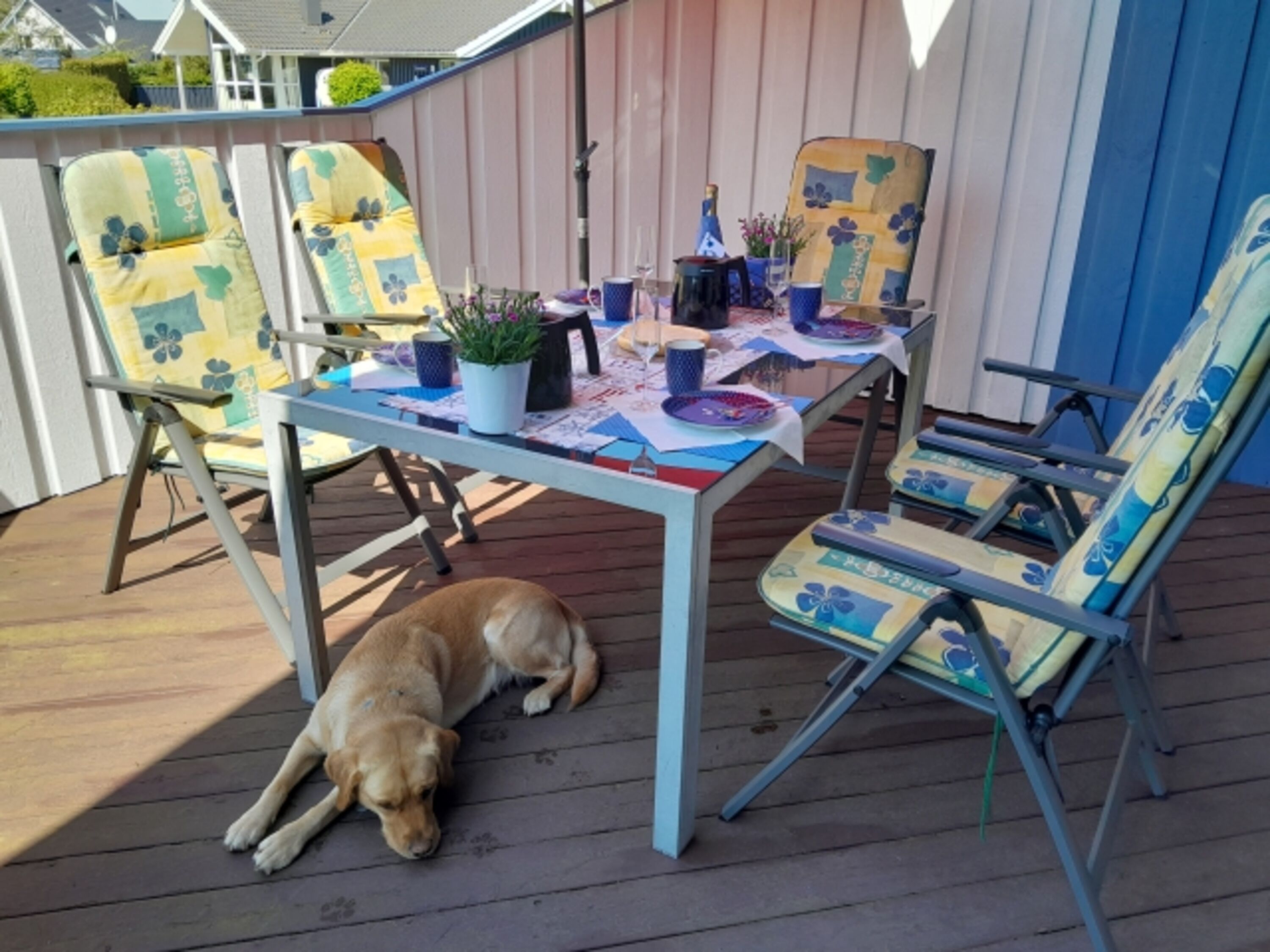 Auch Ihr Hund ist bei uns herzlich Willkommen