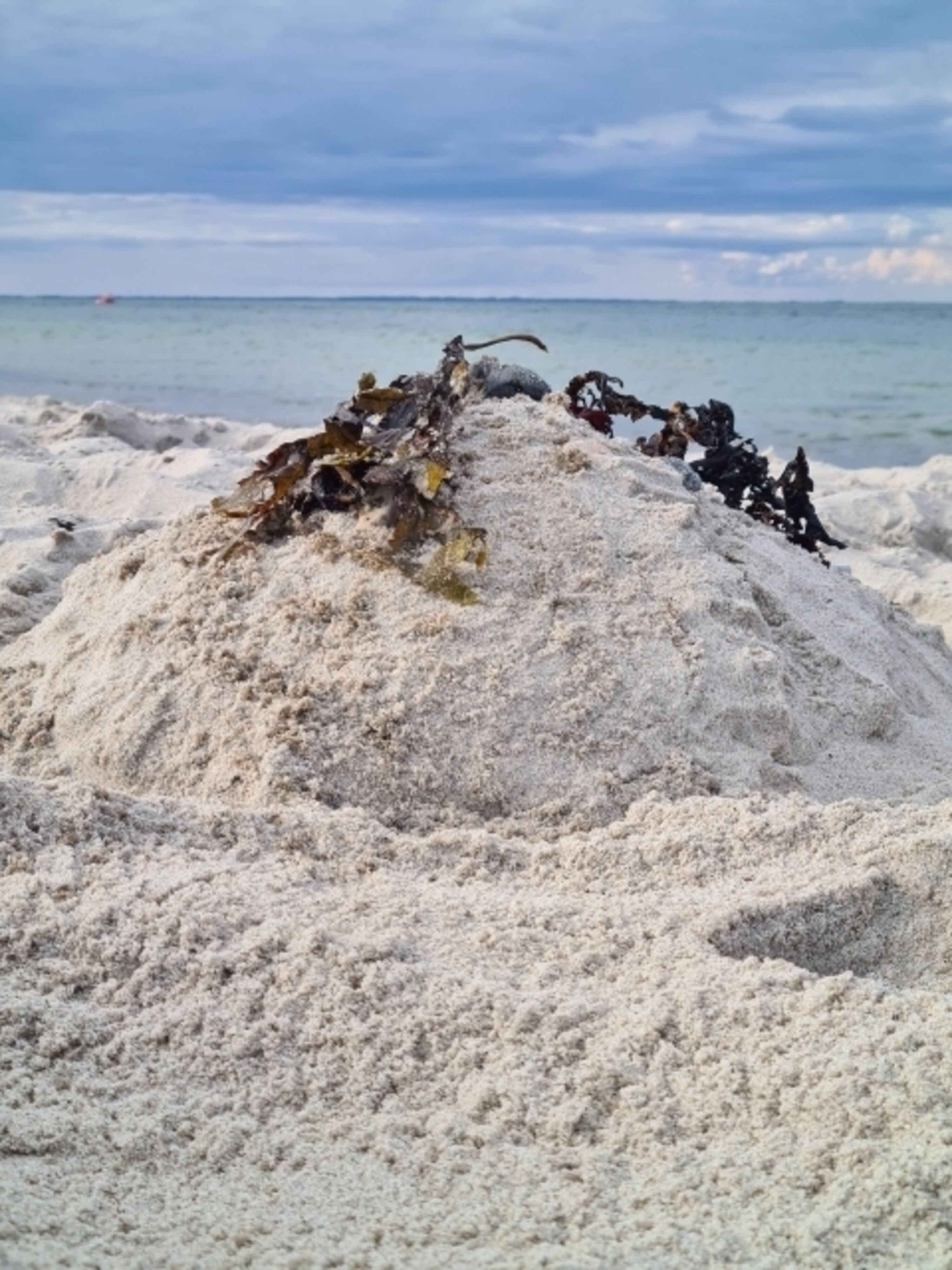 Sandburgen bauen