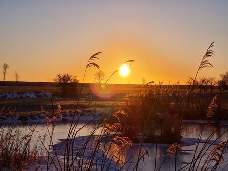 Hofteich im Winter