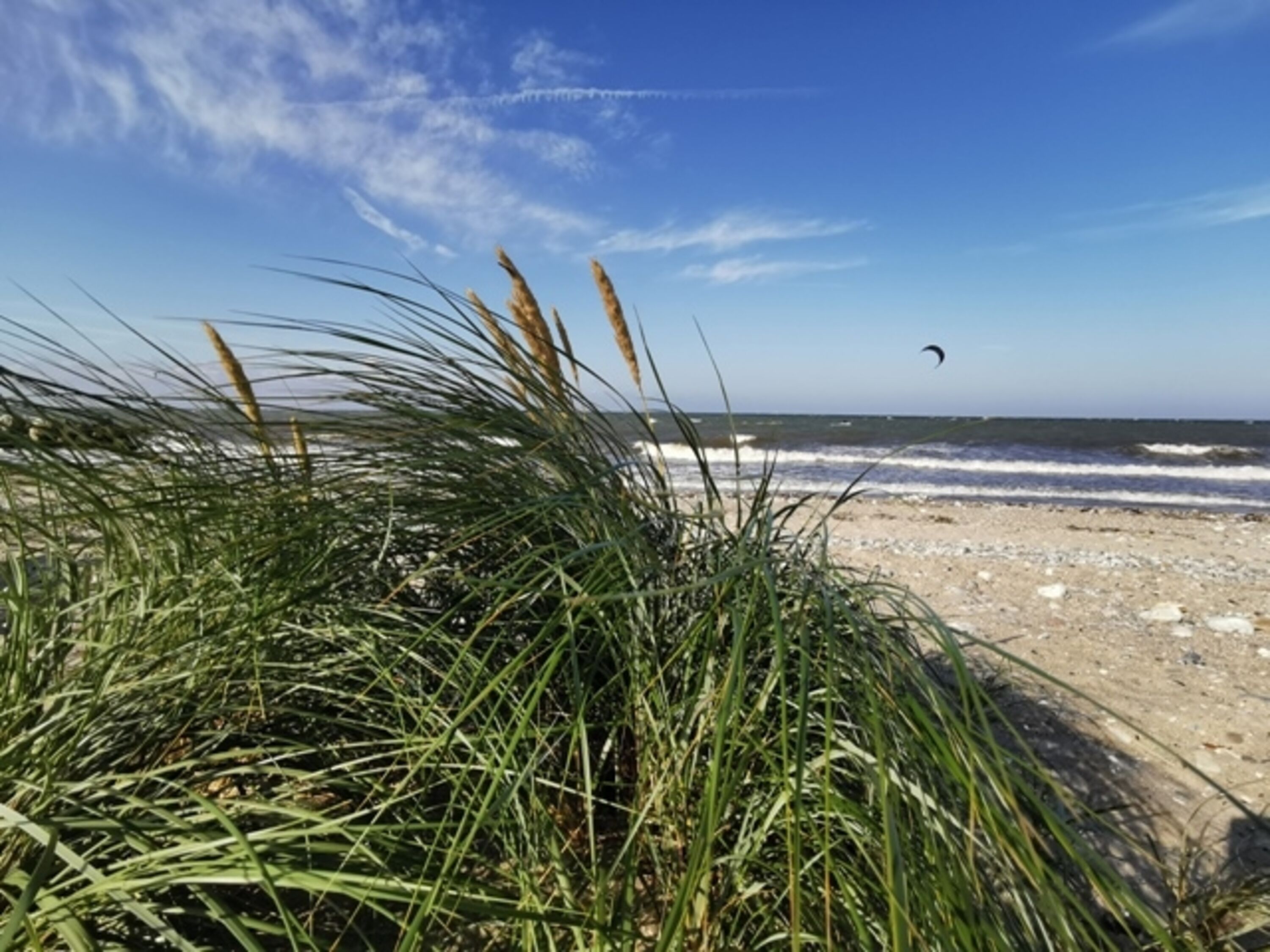 Presener Strand
