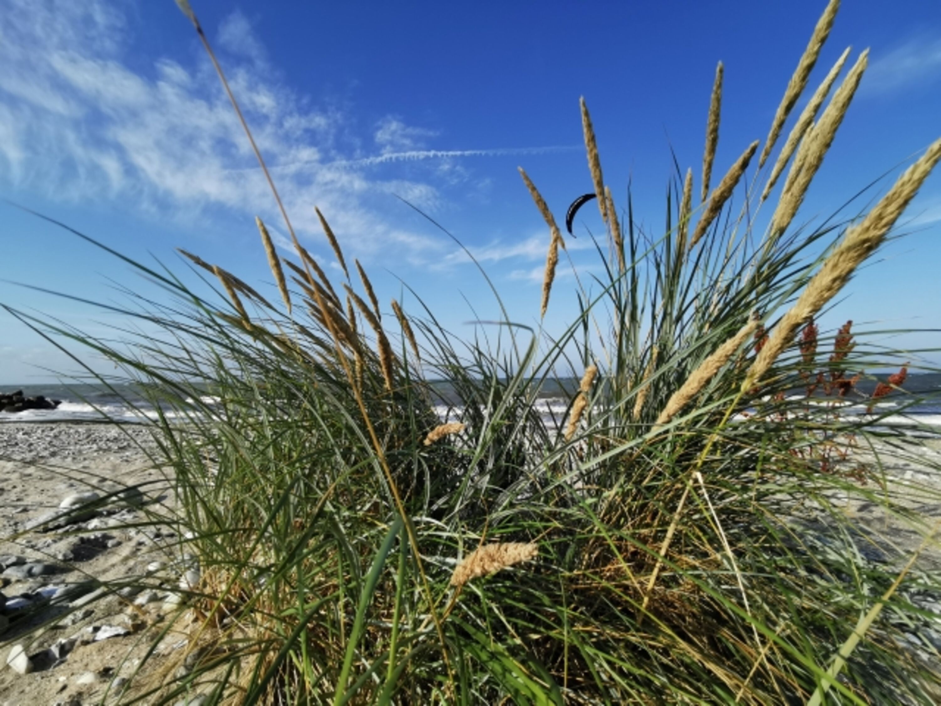 Strand von Presen