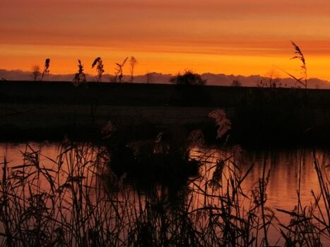 Sonnenaufgang am Hofteich