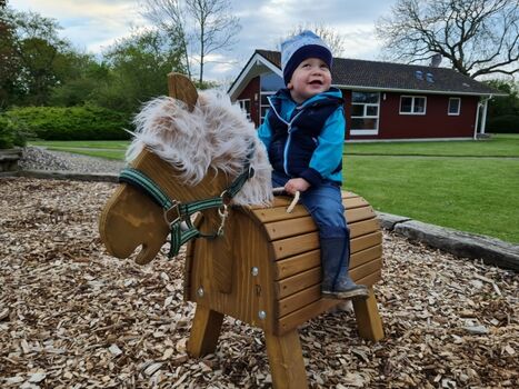 Ritt auf dem Holzpony