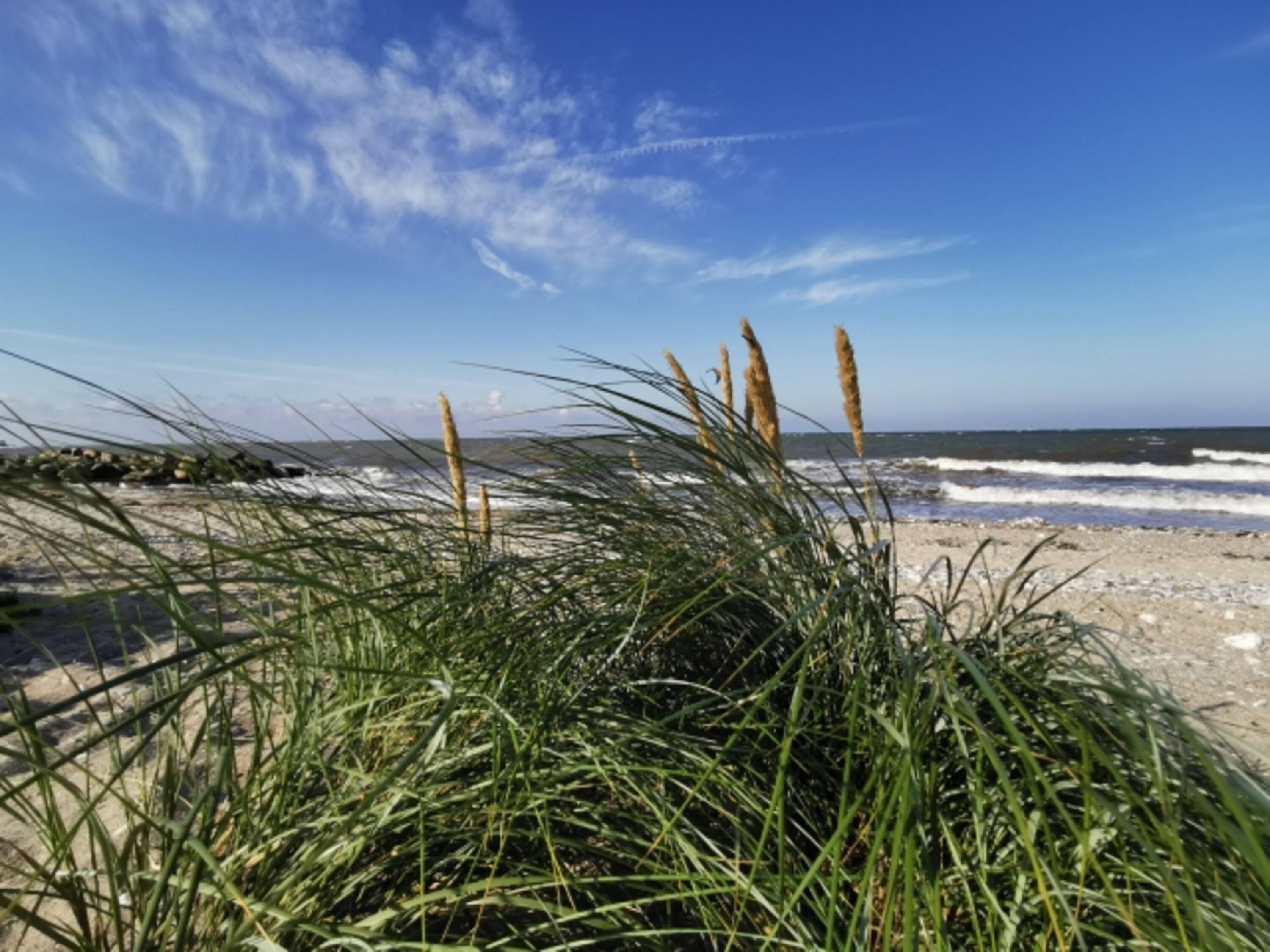 Presener Strand