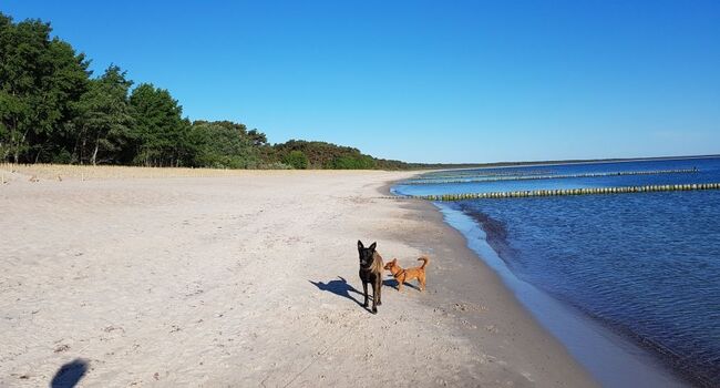 Kilometer lange Spaziergänge sie werden es lieben