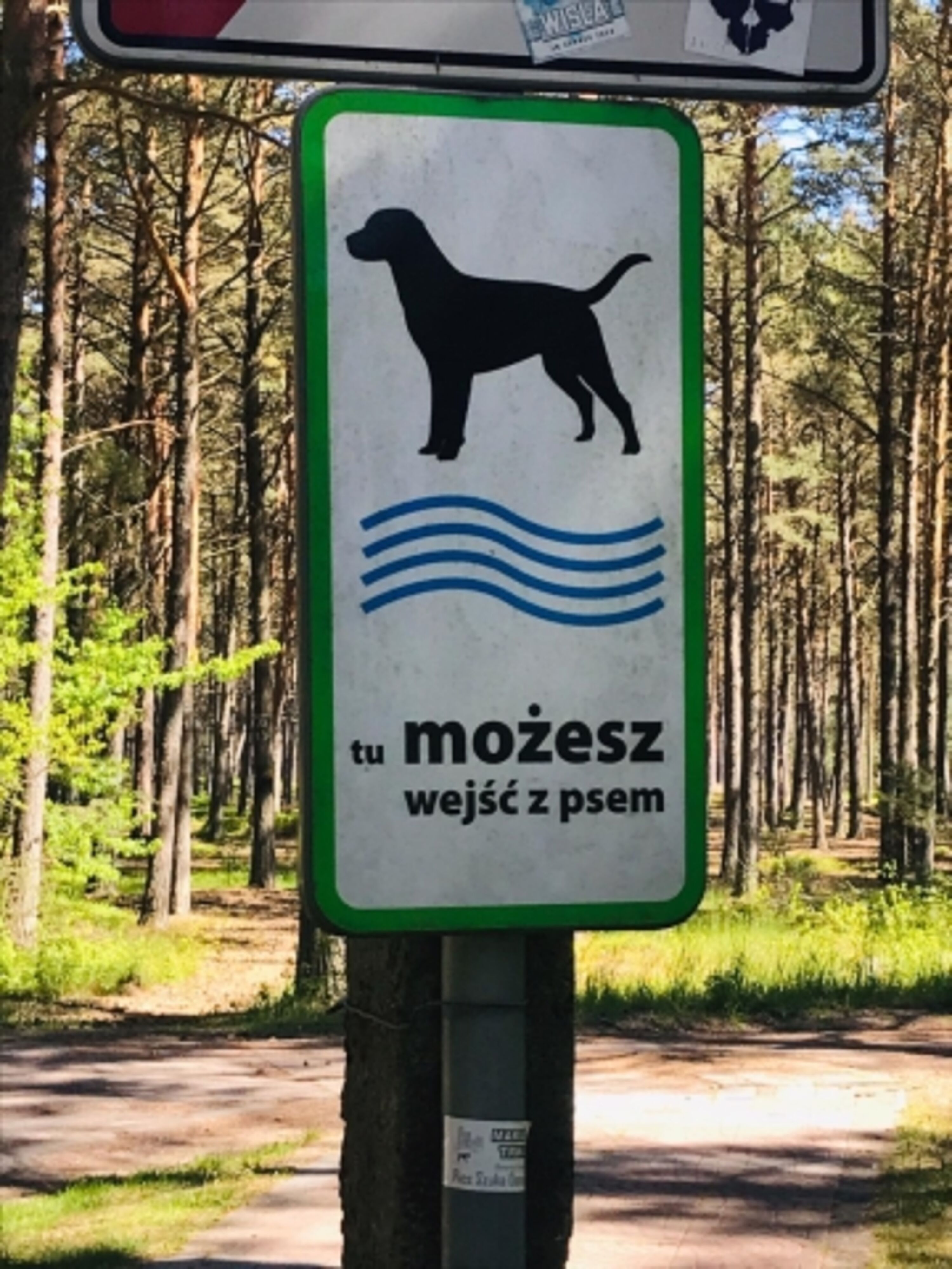 Bild 15
