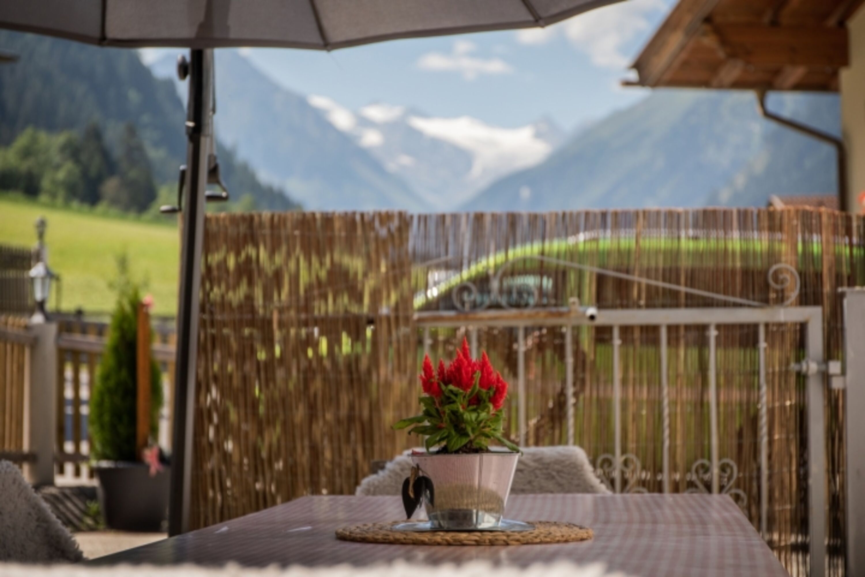 Bild 19