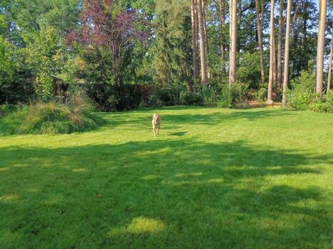 Garten mit Buddelberg, auf 1,80 Mtr. hoch  eingezäunt