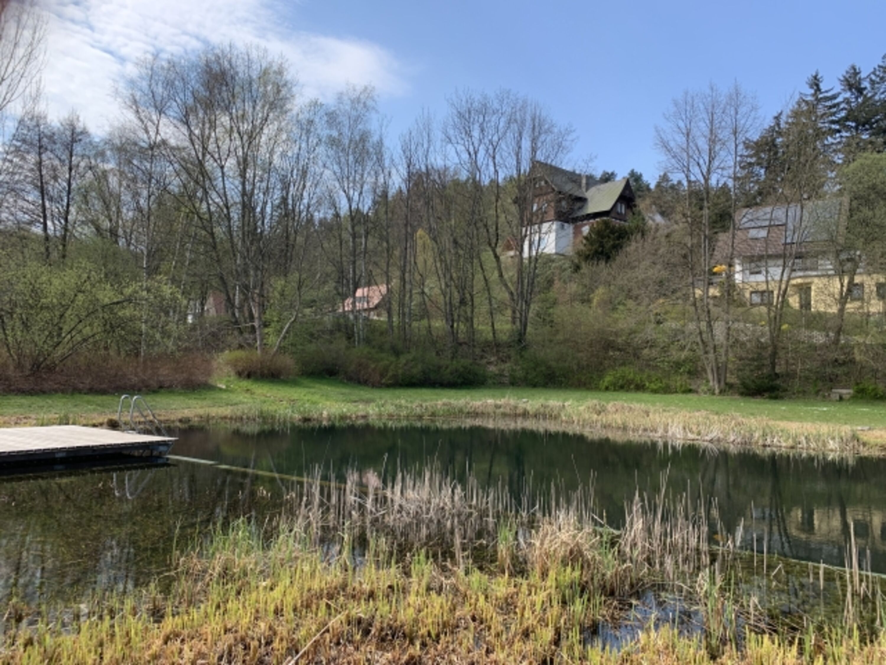 Kleiner Naturbadeteich mit glasklarem Wasser - nur 300 m vom WFH Dunja entfernt