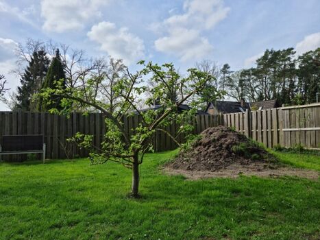 Garten mit Buddelberg