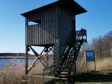 Aussichtsturm am Hüttensee
