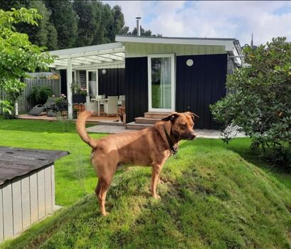 Lille Spunk mit Buddelberg im Garten