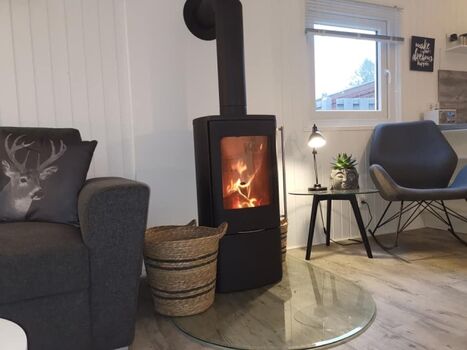 Gemütlicher dän. Kaminofen