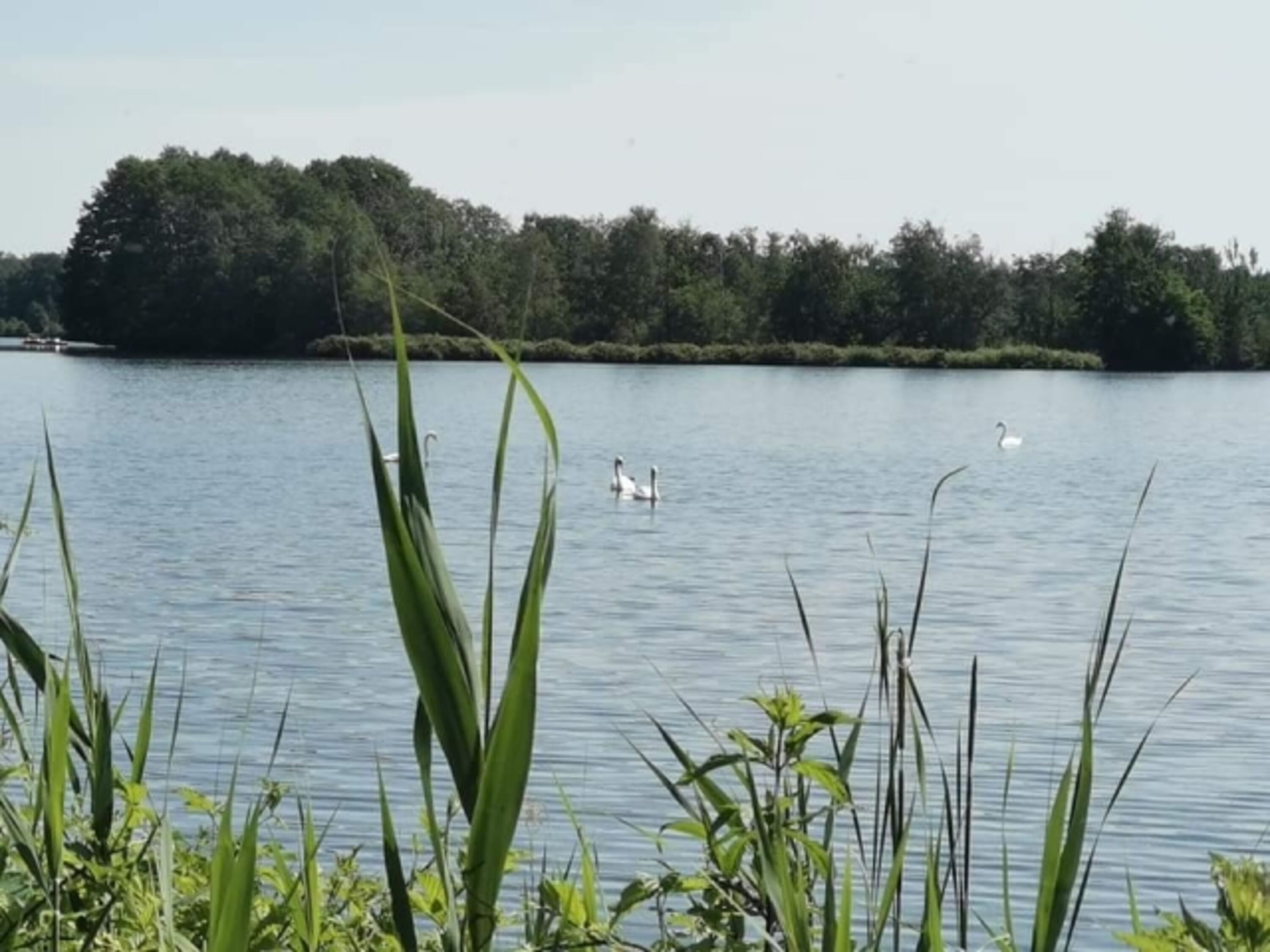 Hüttensee