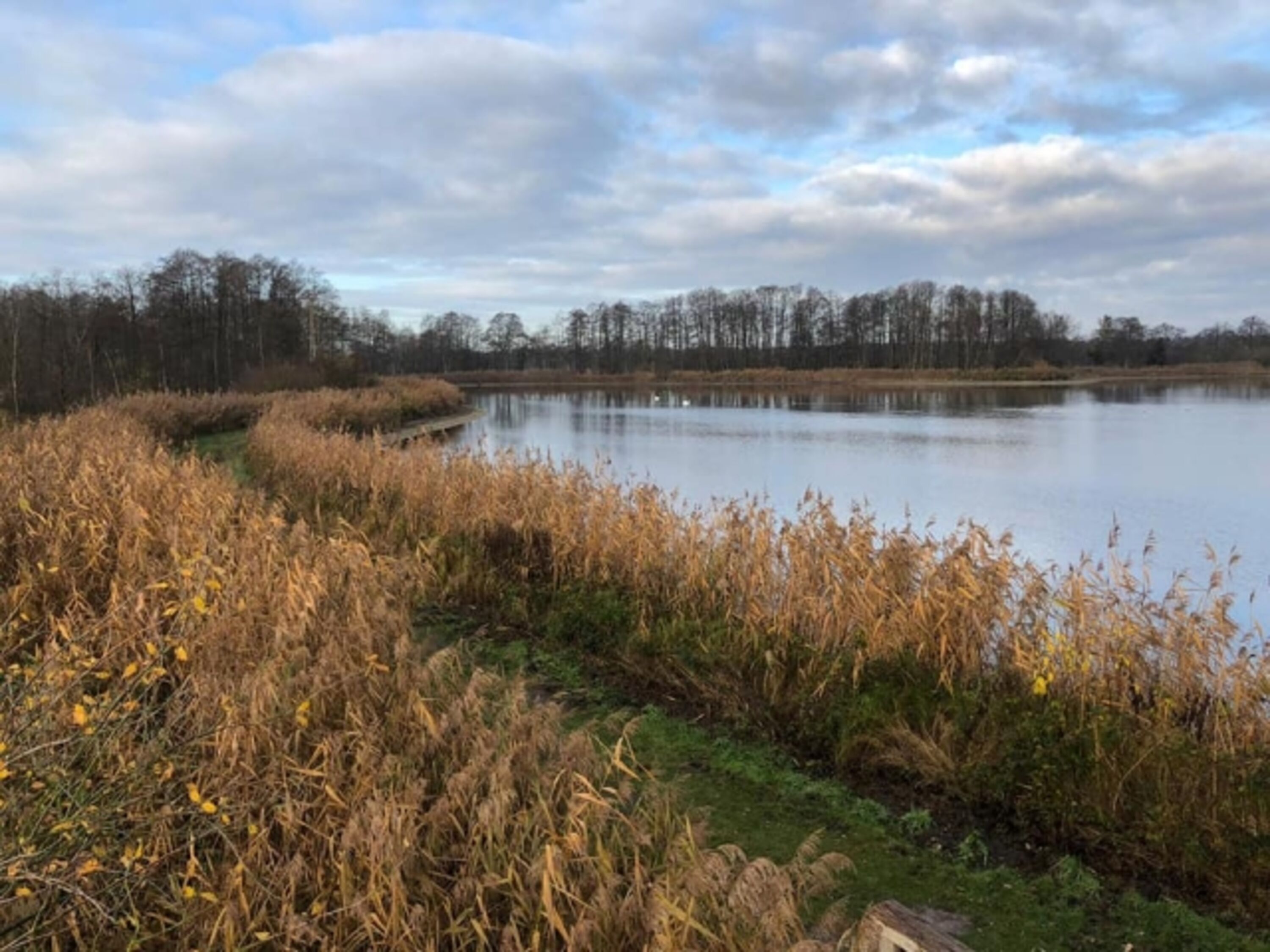 Rundweg Hüttensee
