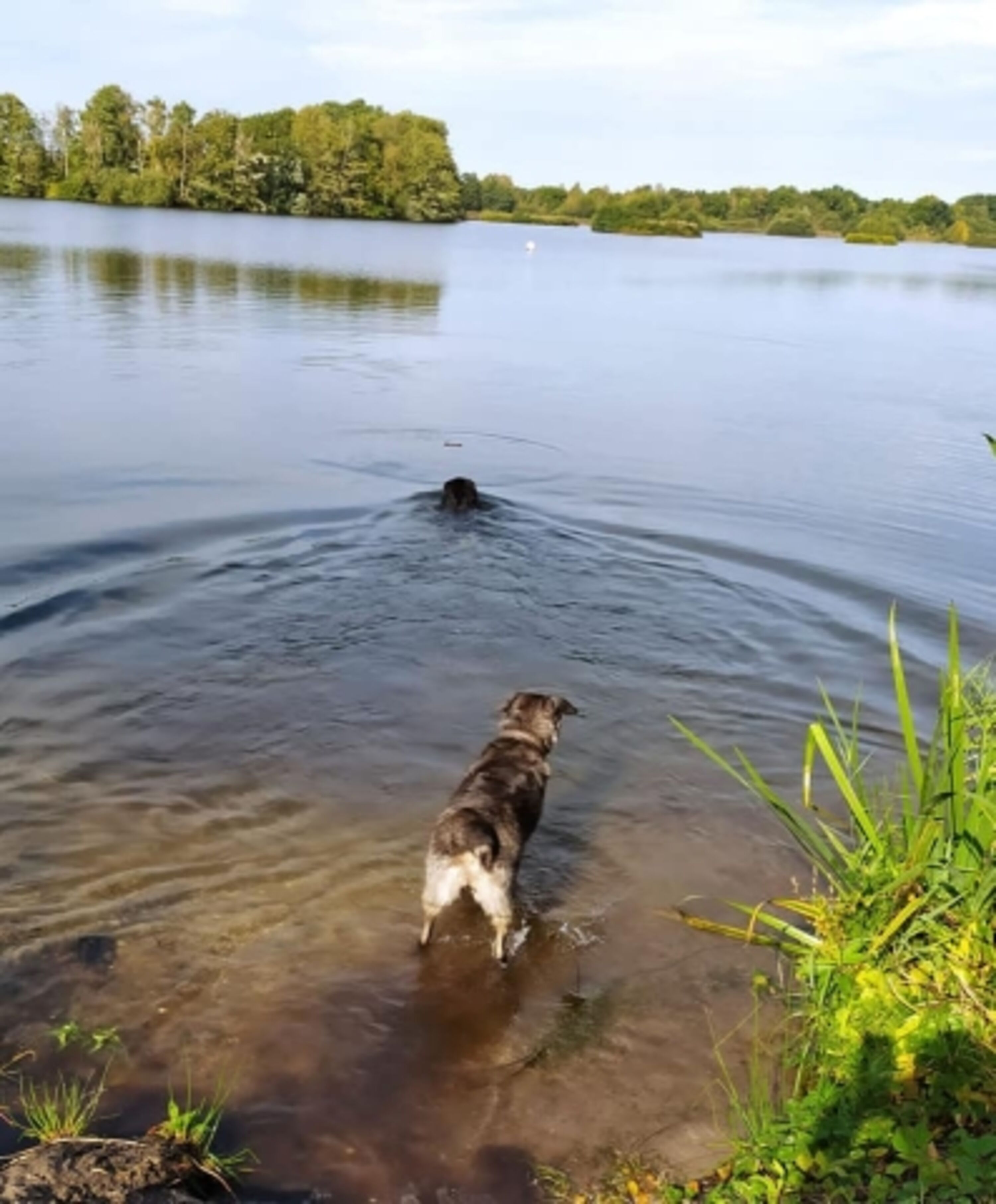 Baden im Hüttensee