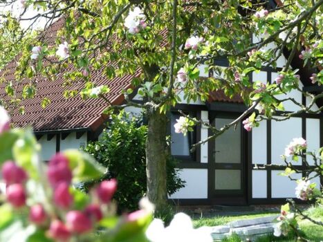 Ferienhaus Deichgraf 86