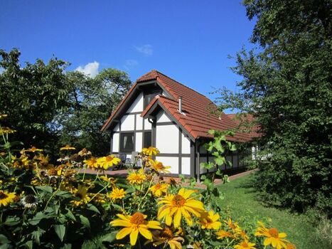 Ferienhaus Deichgraf 86