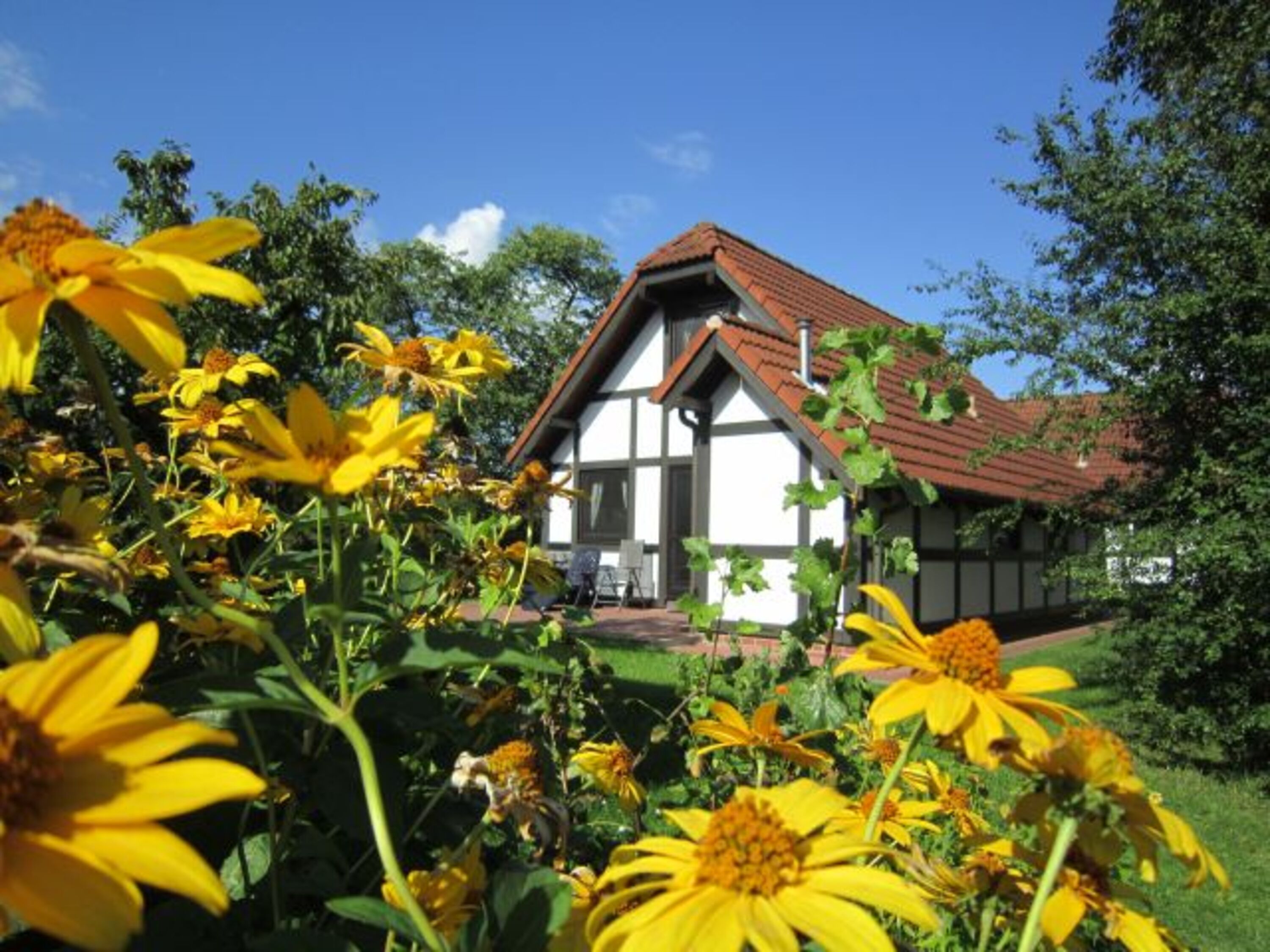 Ferienhaus Deichgraf 86