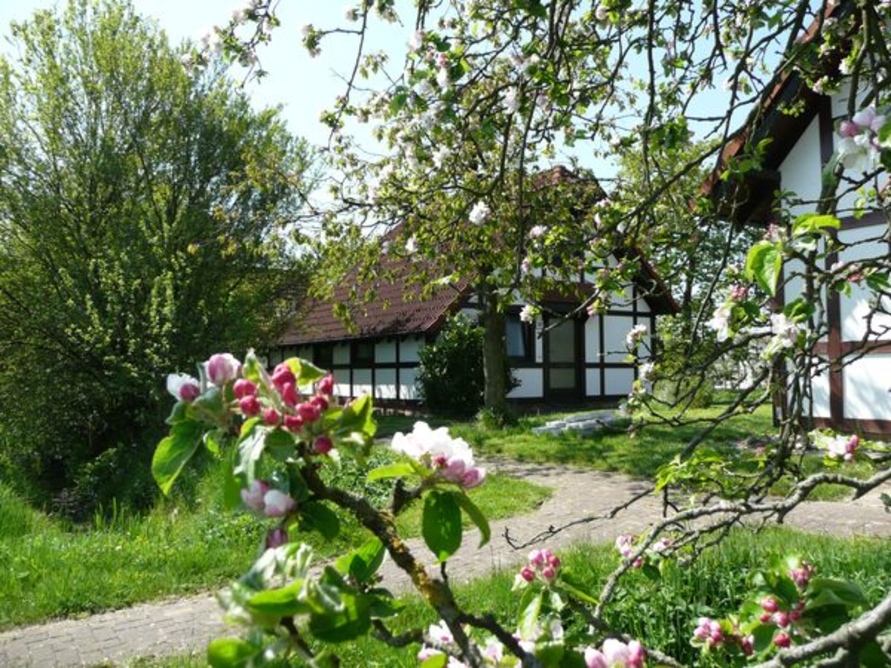 Ferienhaus Deichgraf 86
