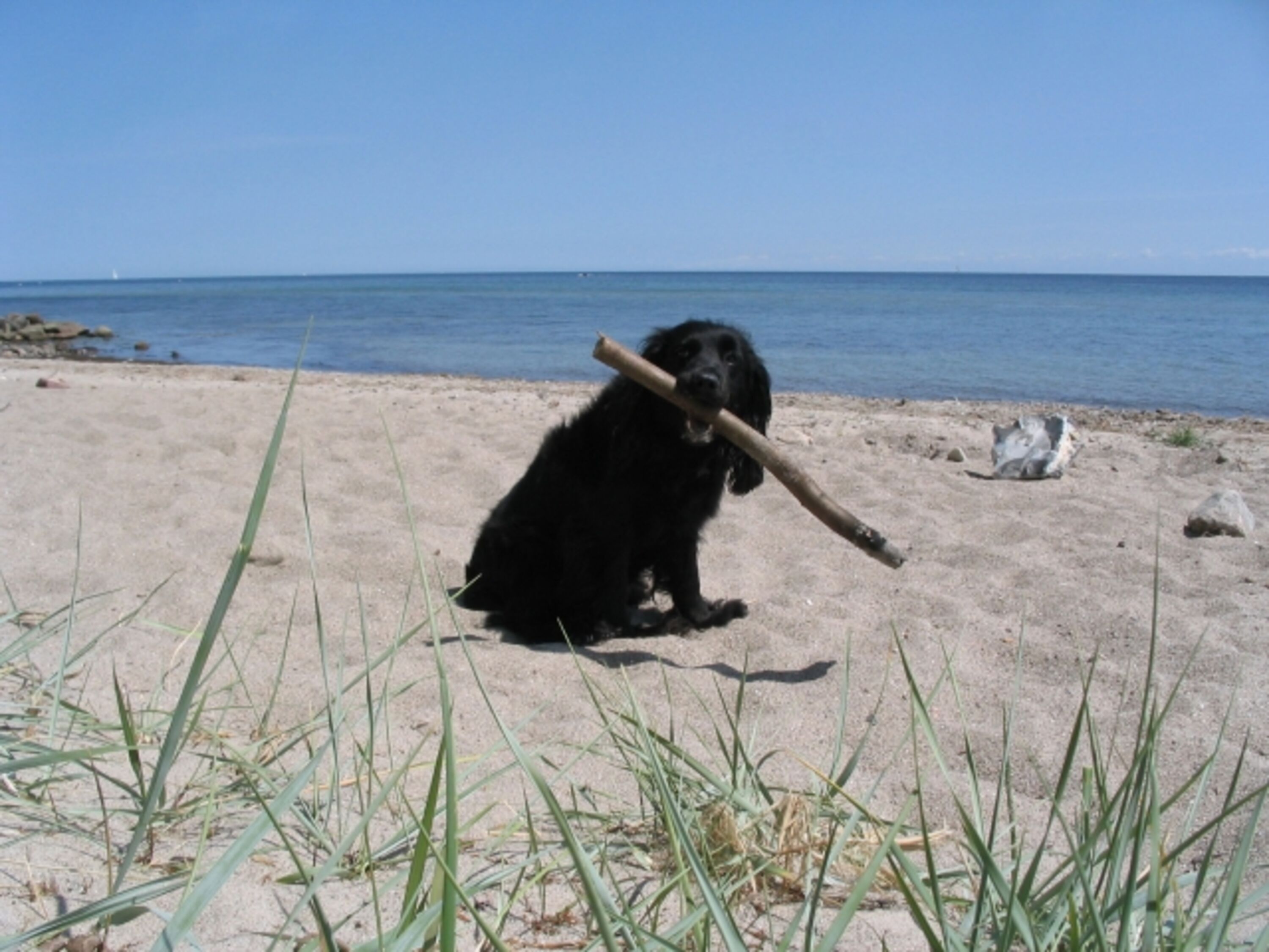 Bild 14