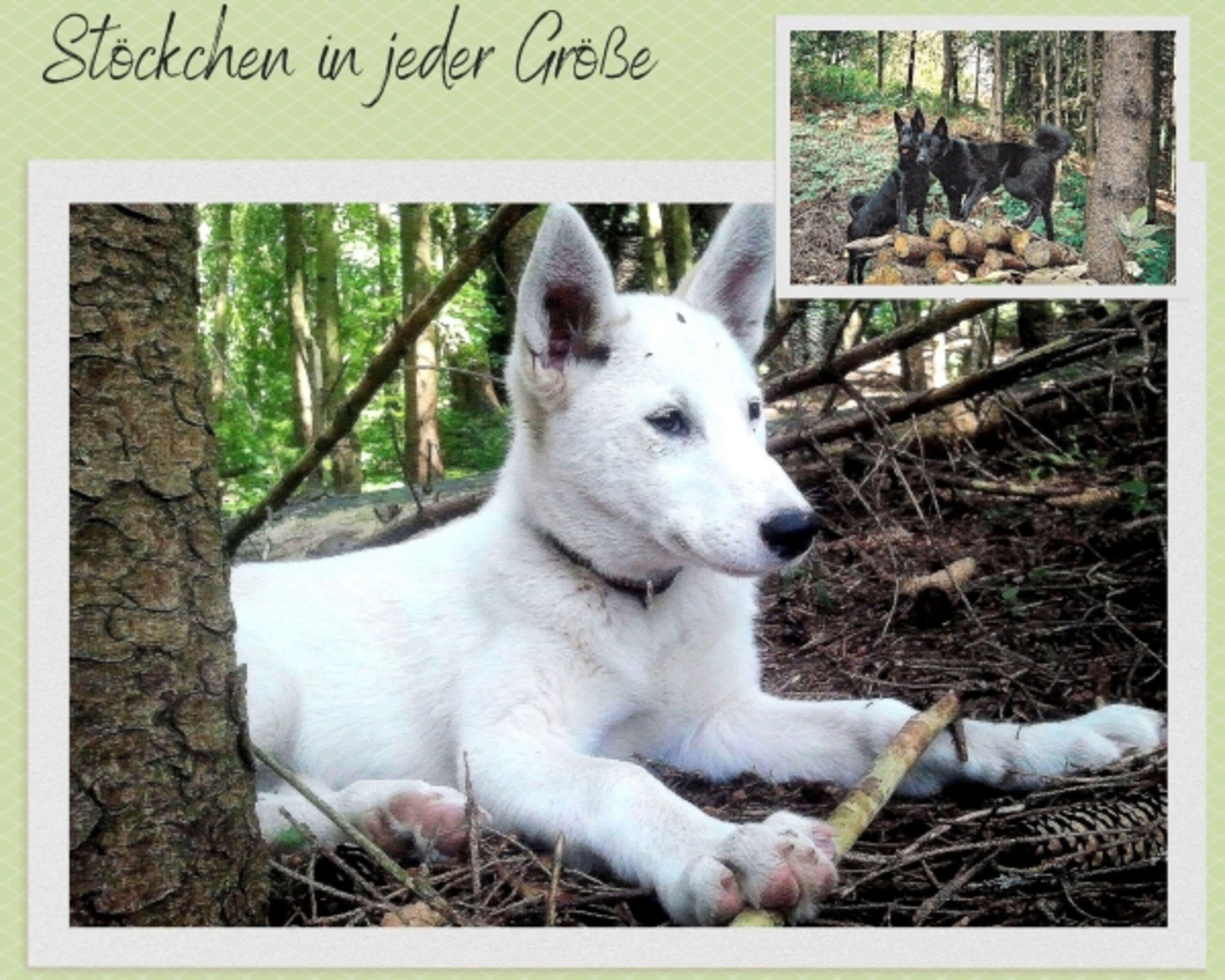 Bild 10