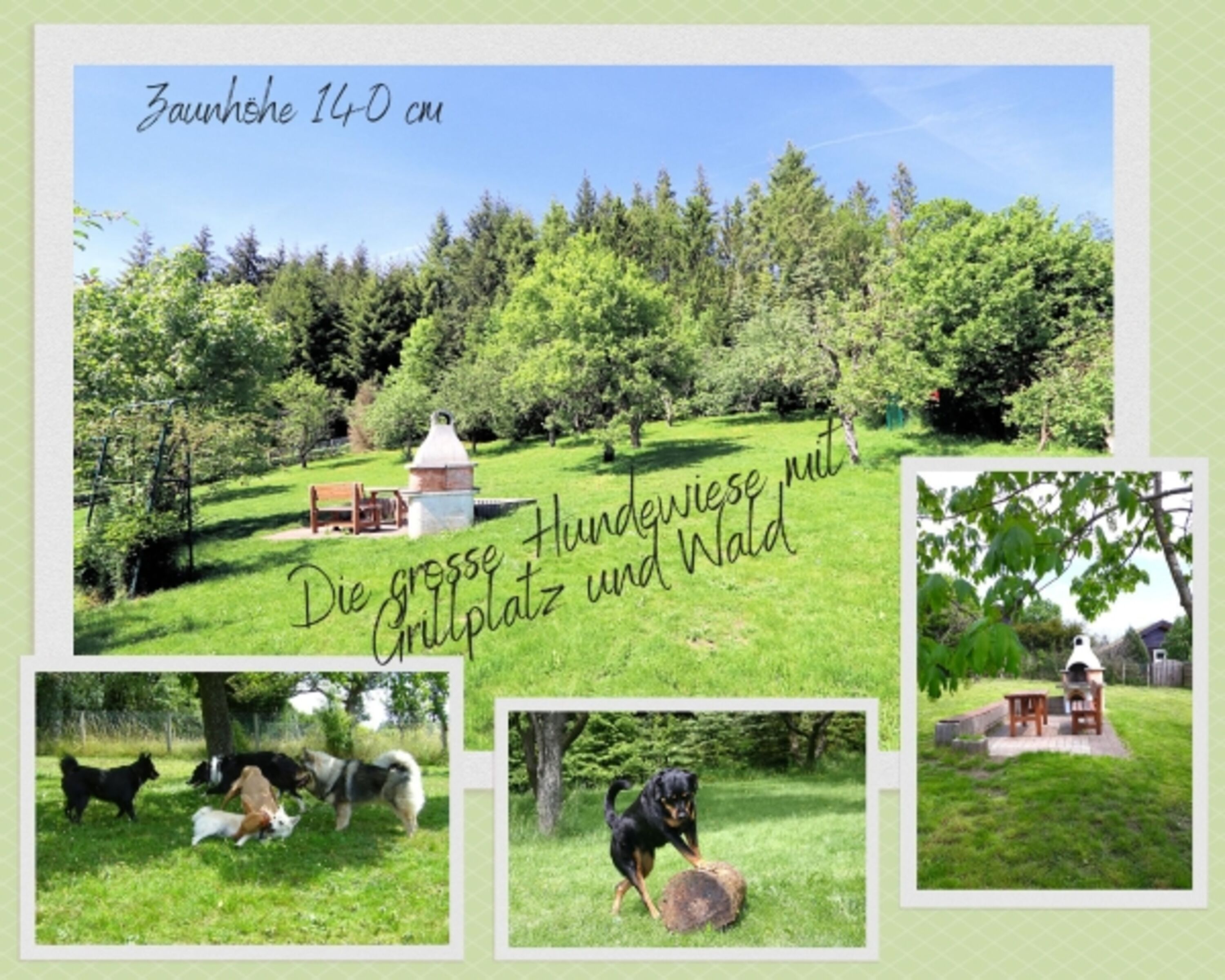 Bild 7