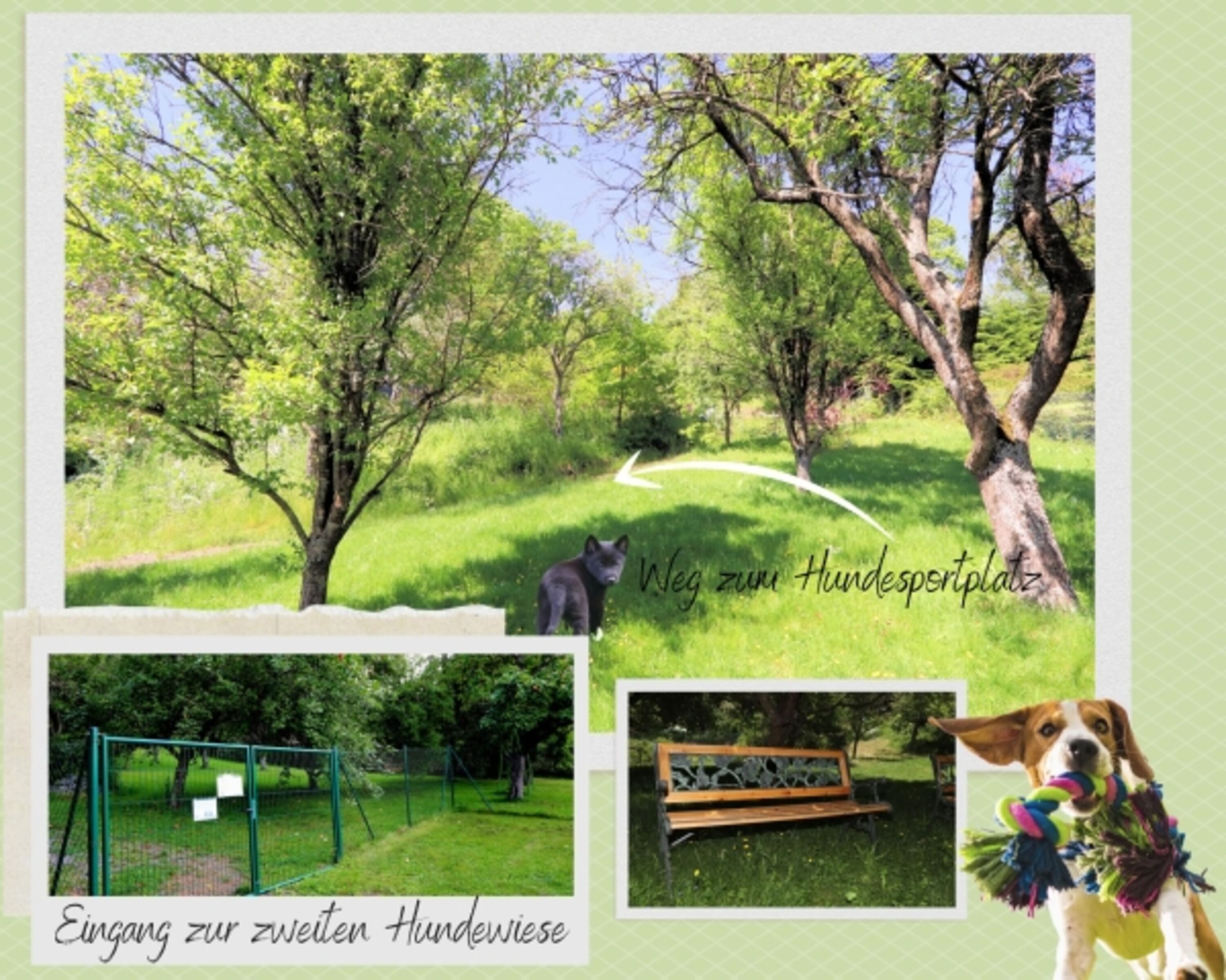 Bild 14
