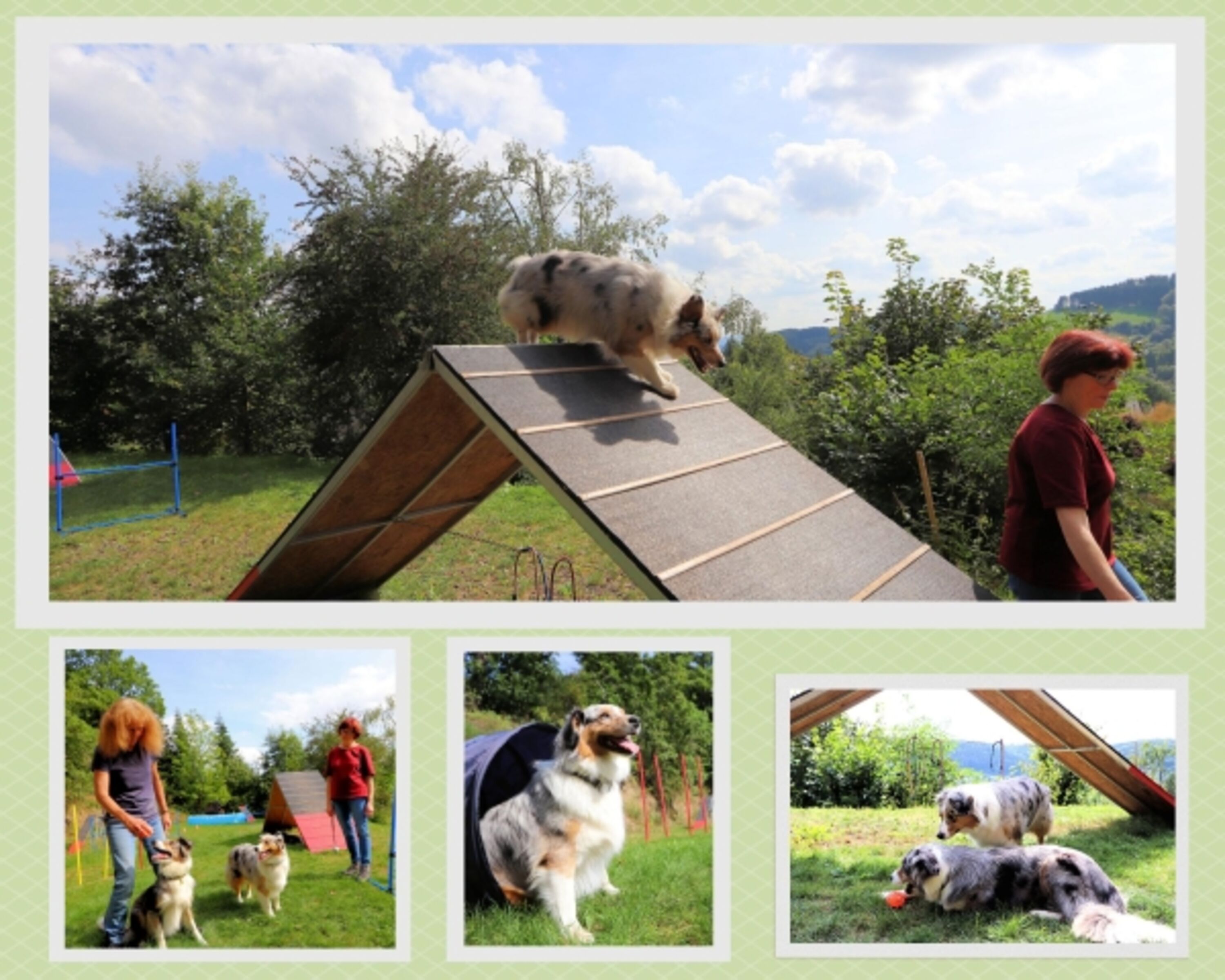 Bild 12