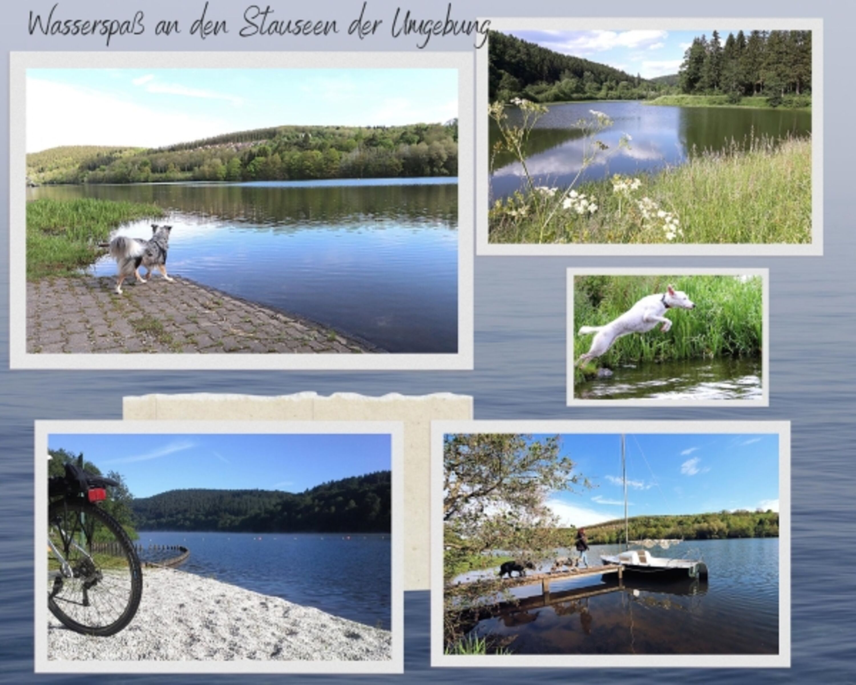 Bild 15