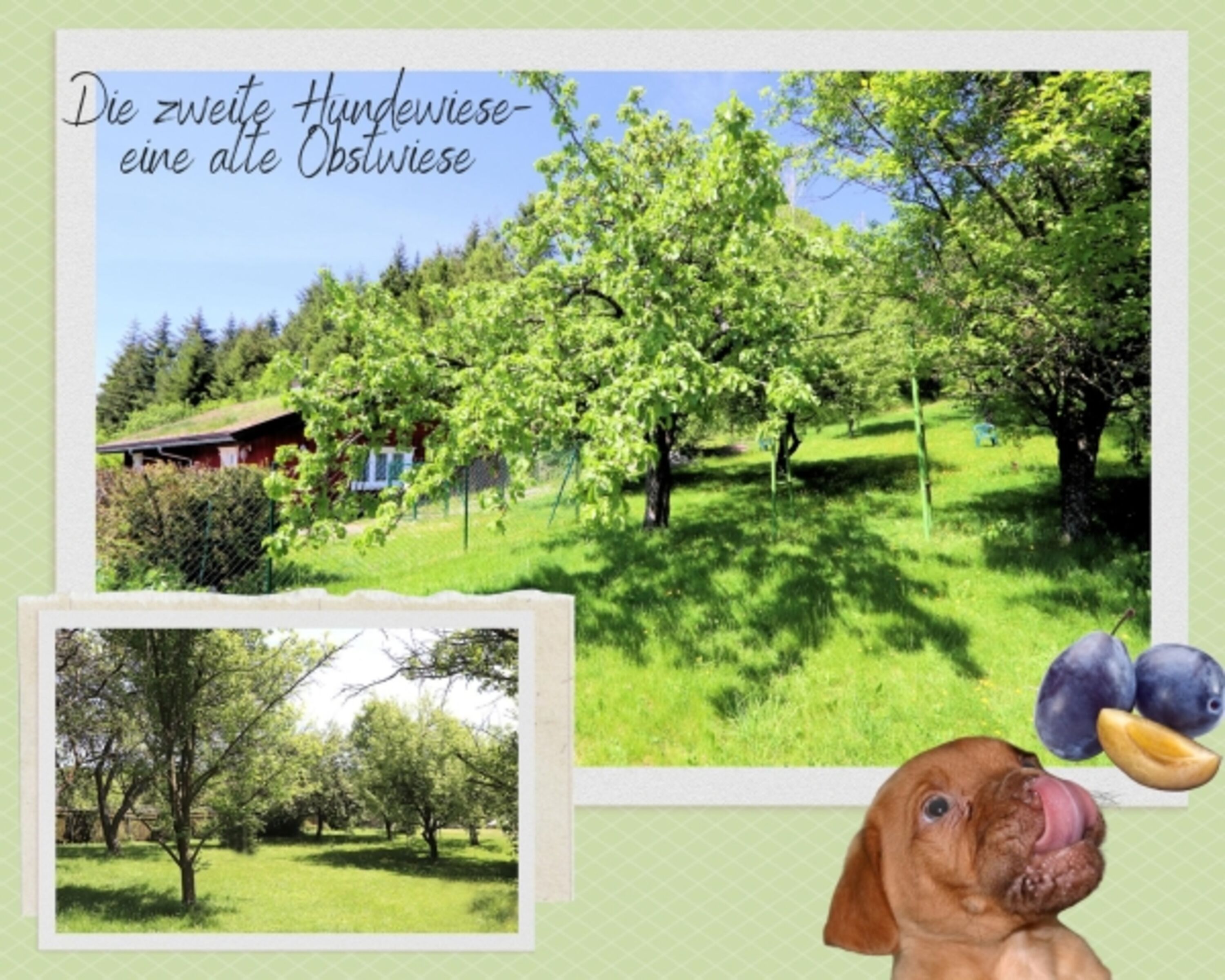 Bild 13