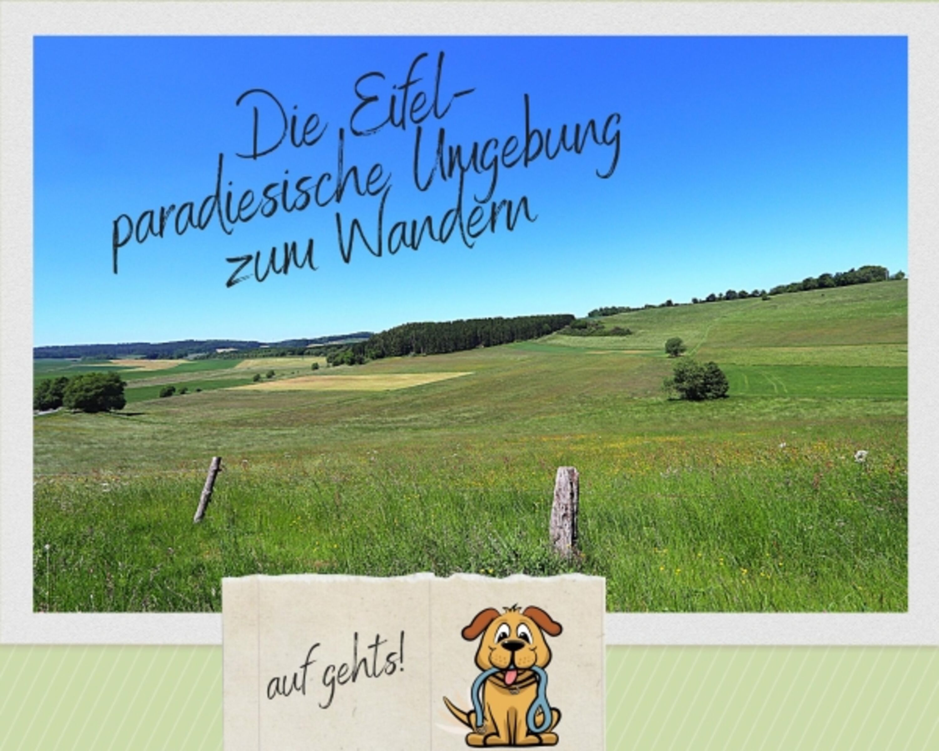 Bild 24