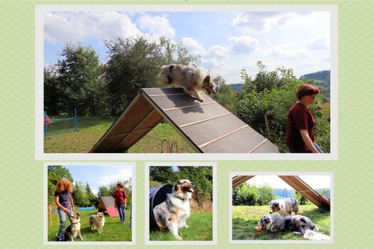 Sport- Spiel und Spaß