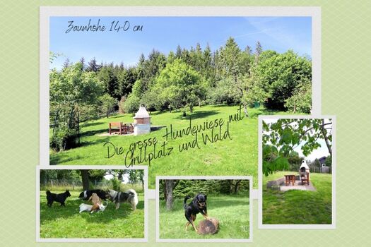 Unsere eingezäunte Hundewiese