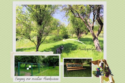 Am Ende der Hundewiese liegt der Hundesportplatz