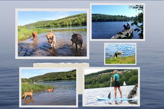 Stand-Up-Paddling , Baden, Entspannen 