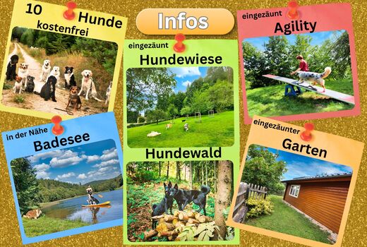 Brangs Hundeparadies Eifel- Unsere besonderen Hunde-Attraktionen