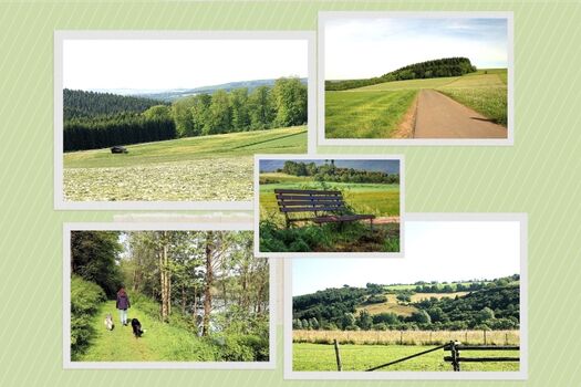 Hier finden Sie einsame Wanderwege